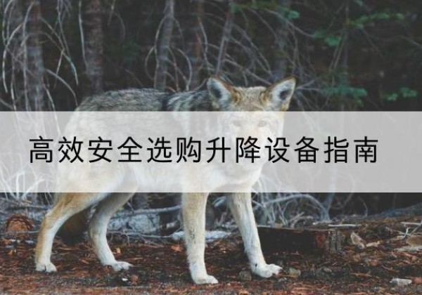 东港升降货梯厂家推荐-*安全选购升降设备指南